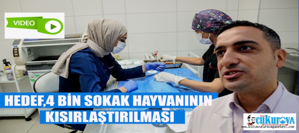 HEDEF,4 BİN SOKAK HAYVANININ KISIRLAŞTIRILMASI