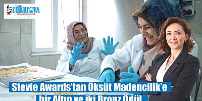 Stevie Awards’tan Öksüt Madencilik’e bir Altın ve iki Bronz Ödül